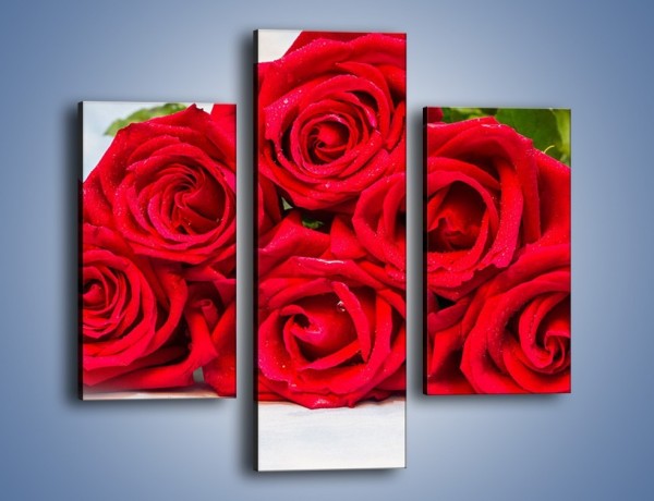 Obraz na płótnie – Czerwone róże bez kolców – trzyczęściowy K1021W3