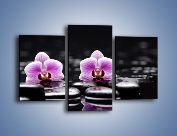 Obraz na płótnie – Duet kwiatowy i czarna woda – trzyczęściowy K1029W3