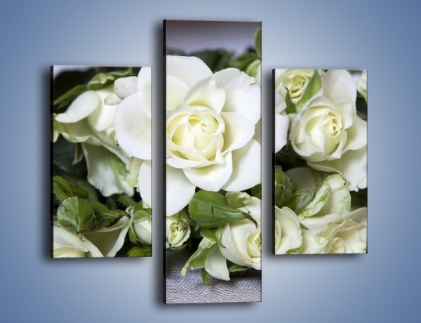 Obraz na płótnie – Białe róże na stole – trzyczęściowy K131W3