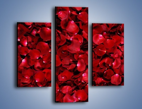 Obraz na płótnie – Dywan usłany płatkami róż – trzyczęściowy K175W3