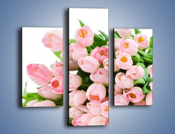 Obraz na płótnie – Wiosna w tulipanach – trzyczęściowy K182W3