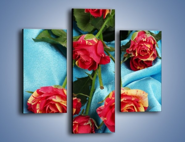 Obraz na płótnie – Róże na poważnie – trzyczęściowy K262W3