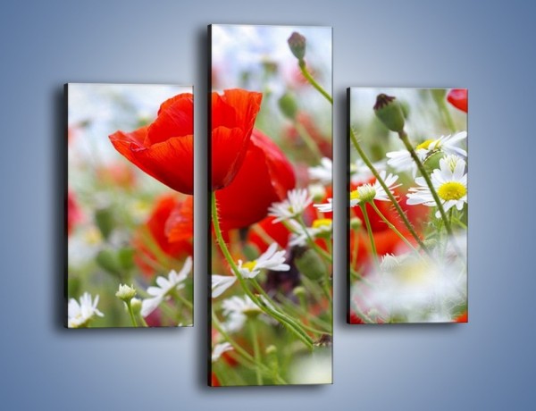 Obraz na płótnie – Polana pełna kwiatów – trzyczęściowy K371W3