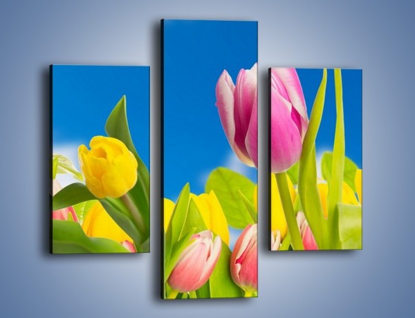 Obraz na płótnie – Kolorowe tulipany w bajkowej oprawie – trzyczęściowy K431W3