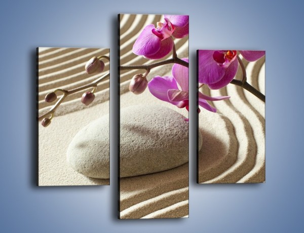 Obraz na płótnie – Wzór na piasku i kwiat – trzyczęściowy K432W3