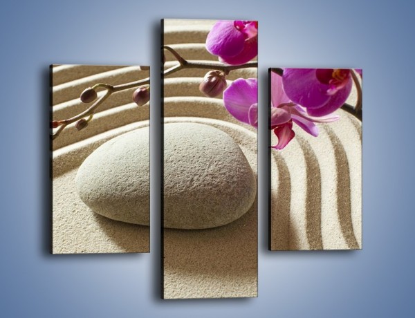 Obraz na płótnie – Kwiat w piasku – trzyczęściowy K433W3
