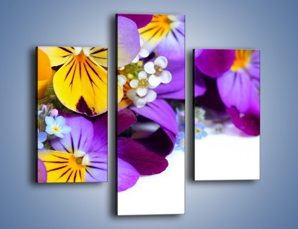 Obraz na płótnie – Ciepłe kolory w kwiatach – trzyczęściowy K442W3