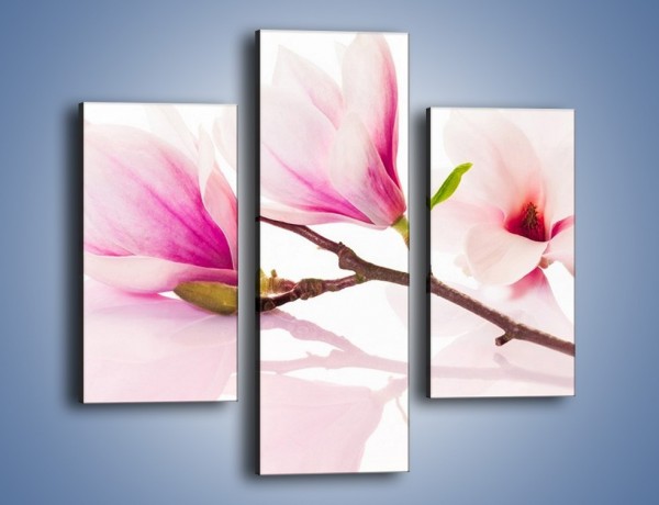 Obraz na płótnie – Lekkość w kwiatach wiśni – trzyczęściowy K485W3