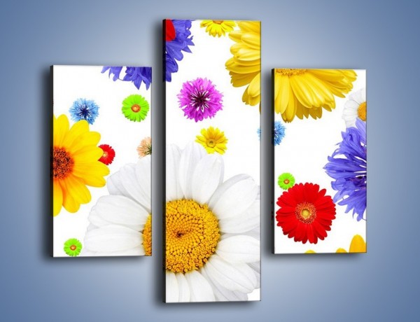 Obraz na płótnie – Wakacyjne kolory w kwiatach – trzyczęściowy K507W3
