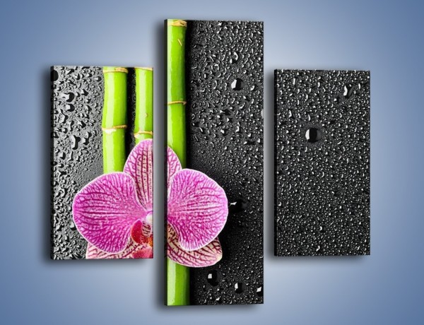 Obraz na płótnie – Kwiat na bambusie – trzyczęściowy K519W3