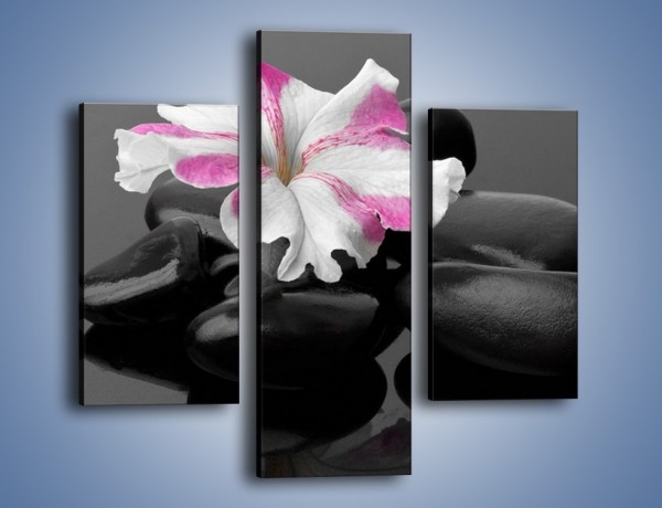 Obraz na płótnie – Czarna tafla z kwiatem – trzyczęściowy K520W3