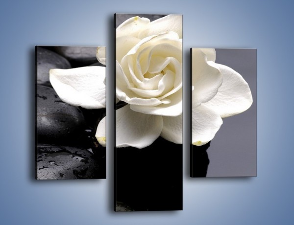 Obraz na płótnie – Jeden kwiat i tyle kamieni – trzyczęściowy K525W3