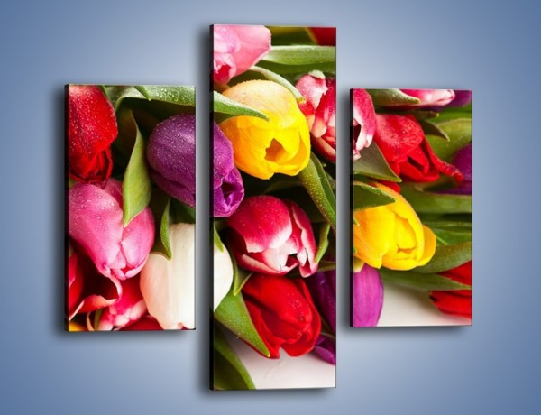 Obraz na płótnie – Spokój i luz zachowany w tulipanach – trzyczęściowy K538W3