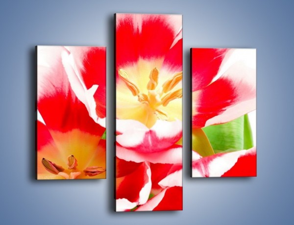 Obraz na płótnie – Kwiatki z bajki – trzyczęściowy K550W3