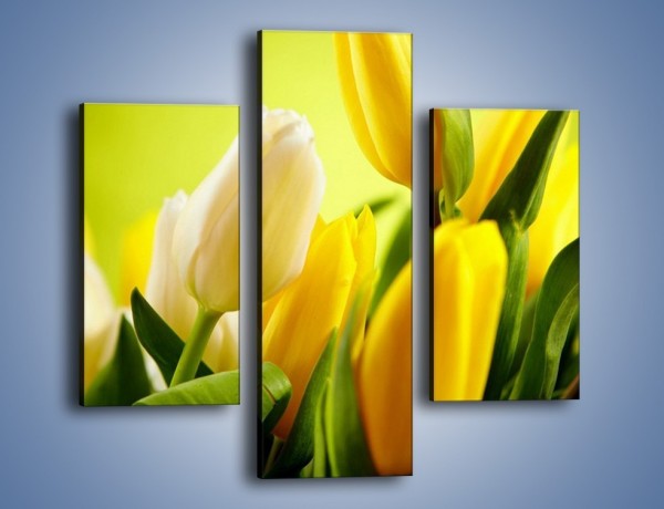 Obraz na płótnie – Żółta historia o kwiatach – trzyczęściowy K553W3