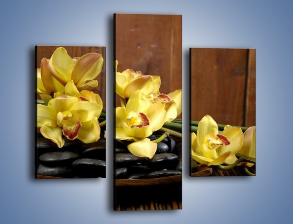Obraz na płótnie – Kwiaty na drewnianym naczyniu – trzyczęściowy K575W3