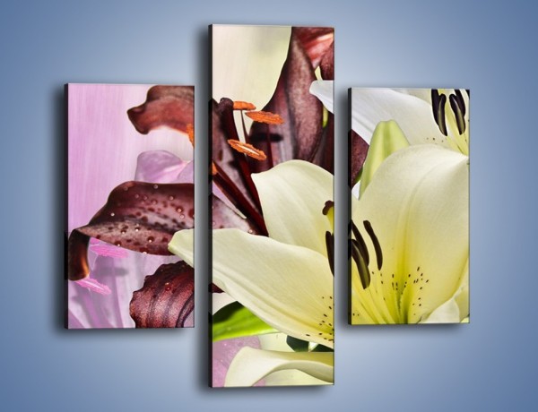 Obraz na płótnie – Podwójna twarz lilii – trzyczęściowy K584W3