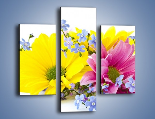 Obraz na płótnie – Niezapominajki wśród kwiatów – trzyczęściowy K604W3