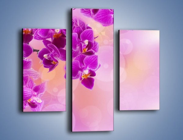 Obraz na płótnie – Spadające fioletowe kwiaty – trzyczęściowy K614W3