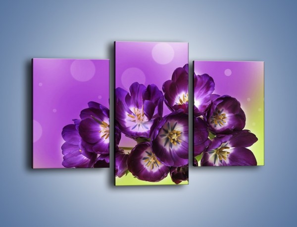 Obraz na płótnie – Fioletowe kwiaty w powietrzu – trzyczęściowy K630W3