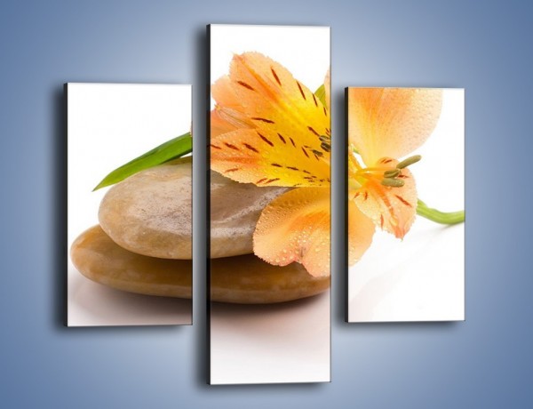Obraz na płótnie – Kwiat jak mango – trzyczęściowy K631W3