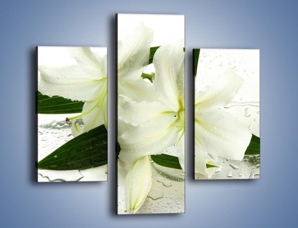 Obraz na płótnie – Niewinność białej lilii – trzyczęściowy K632W3