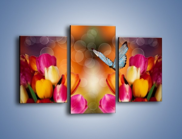 Obraz na płótnie – Motyl wśród tulipanów – trzyczęściowy K635W3