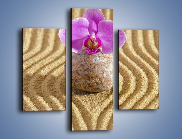 Obraz na płótnie – Struktura piasku z kwiatem – trzyczęściowy K637W3