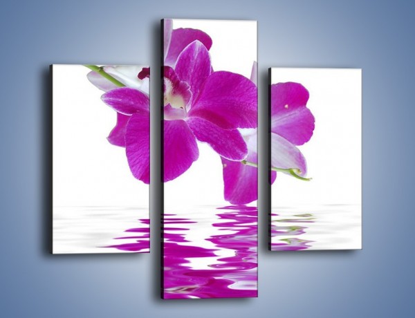 Obraz na płótnie – Rozwinięty kwiat w wodnym odbiciu – trzyczęściowy K673W3