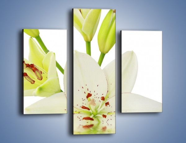 Obraz na płótnie – Zatopiona lilia – trzyczęściowy K677W3