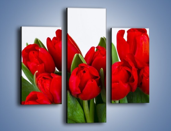 Obraz na płótnie – Tulipany na dzień kobiet – trzyczęściowy K740W3