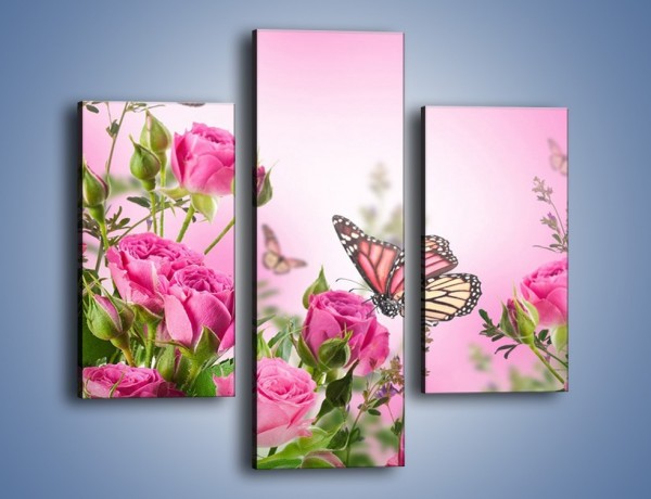 Obraz na płótnie – Motyle różowe jak kwiaty – trzyczęściowy K741W3