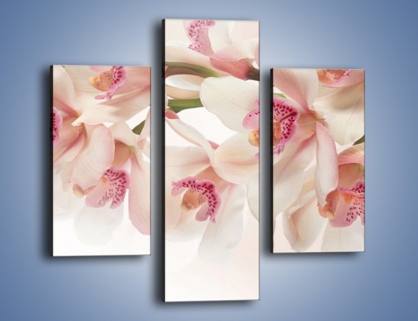 Obraz na płótnie – Szlachetne różowe storczyki – trzyczęściowy K756W3