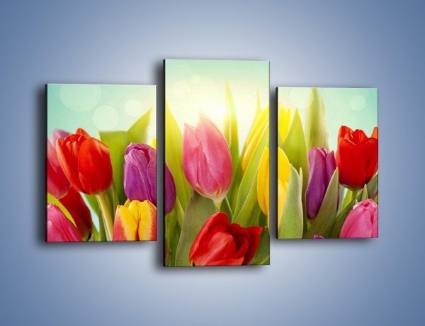 Obraz na płótnie – Tulipany w pierwszym rzędzie – trzyczęściowy K760W3