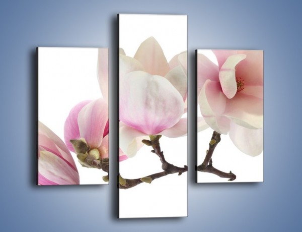 Obraz na płótnie – Obcięte gałązki białych różowych kwiatów – trzyczęściowy K783W3