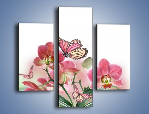 Obraz na płótnie – Różowy motyl czy kwiat – trzyczęściowy K786W3