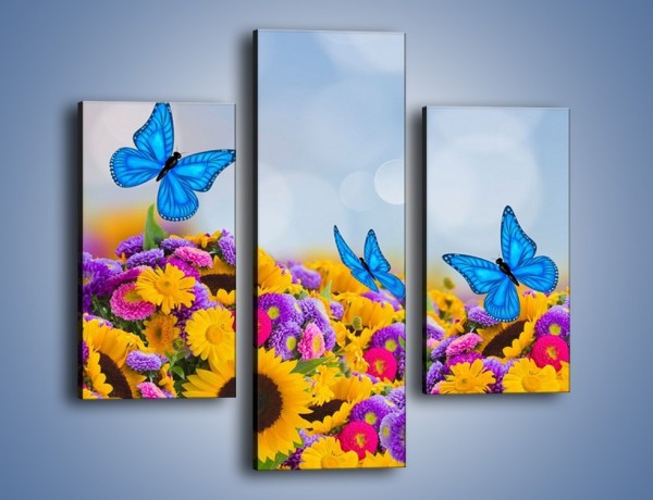 Obraz na płótnie – Bajka o kwiatach i motylach – trzyczęściowy K794W3