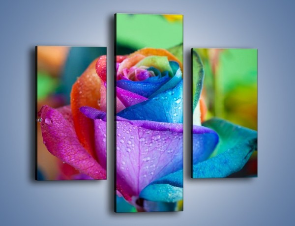 Obraz na płótnie – Kolorowe obietnice i róże – trzyczęściowy K797W3