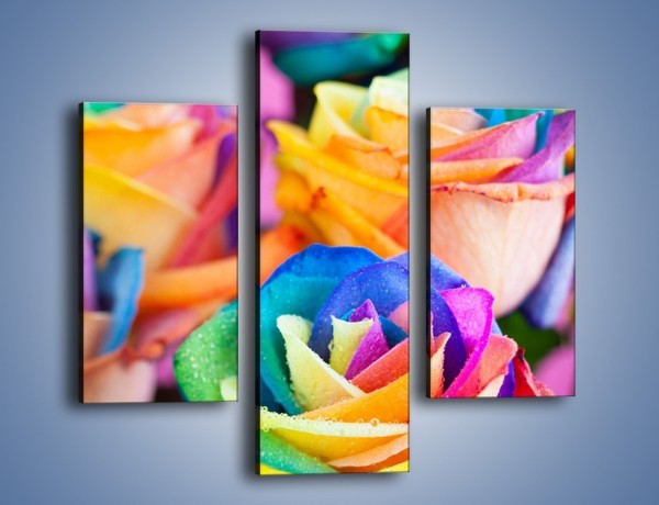 Obraz na płótnie – Wąskie grono kolorowych kwiatów – trzyczęściowy K799W3