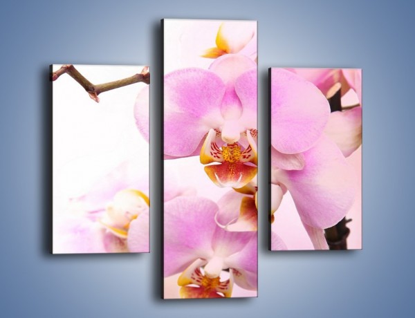 Obraz na płótnie – Delikatny motyw z kwiatami – trzyczęściowy K815W3