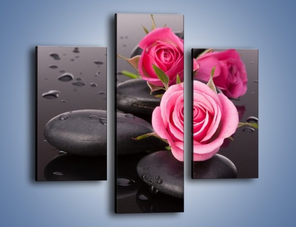 Obraz na płótnie – Róże na mokrych kamieniach – trzyczęściowy K822W3