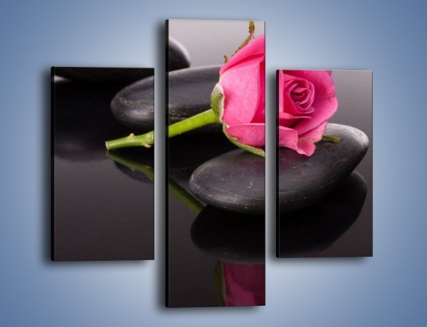 Obraz na płótnie – Ścięta róża na czarnej tafli – trzyczęściowy K832W3