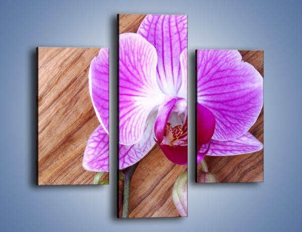 Obraz na płótnie – Kwiat na drewnianych słojach – trzyczęściowy K850W3