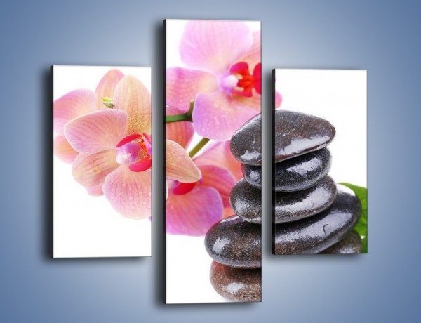 Obraz na płótnie – Kamień liść czy kwiaty – trzyczęściowy K856W3