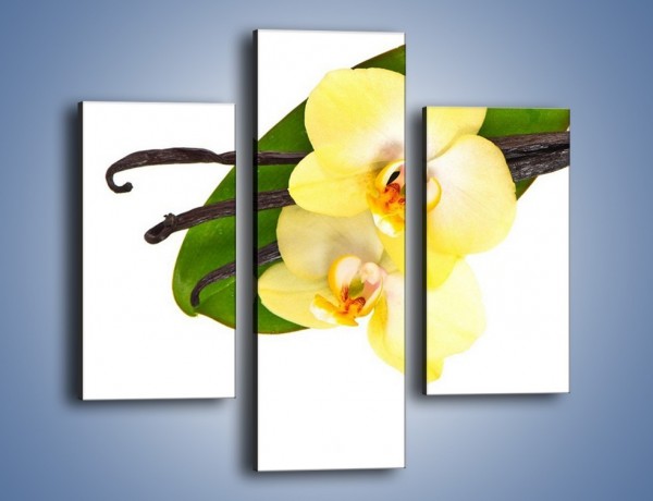 Obraz na płótnie – Waniliowa kwiatowa kompozycja – trzyczęściowy K857W3