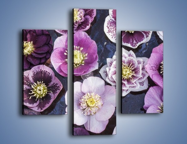 Obraz na płótnie – Wszystkie odcienie fioletu w kwiatach – trzyczęściowy K876W3