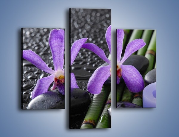 Obraz na płótnie – Mokre fiolety i kwiaty – trzyczęściowy K880W3
