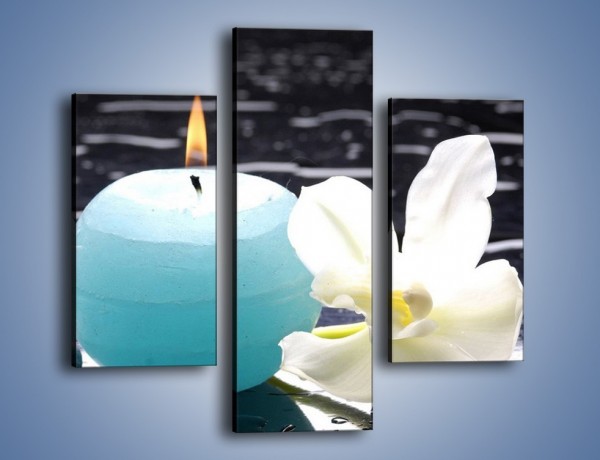Obraz na płótnie – Błękit świecy z kwiatem – trzyczęściowy K887W3
