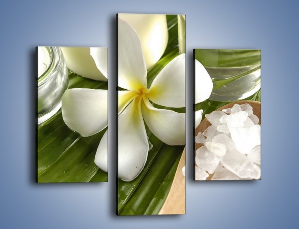 Obraz na płótnie – Sól świece i kwiat – trzyczęściowy K903W3