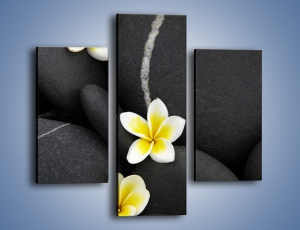 Obraz na płótnie – Kwiaty wrzucone w kamienne szczeliny – trzyczęściowy K934W3